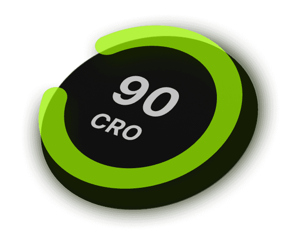 RevSlip performance gauge showing page speed and Core Web Vitals scores